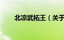 北凉武拓王（关于北凉武拓王简介）