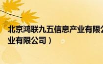 北京鸿联九五信息产业有限公司（关于北京鸿联九五信息产业有限公司）