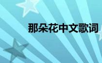 那朵花中文歌词（那朵花片尾曲）