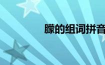 朦的组词拼音（朦的组词）