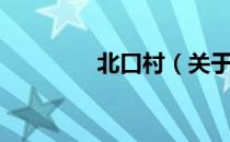 北口村（关于北口村简介）