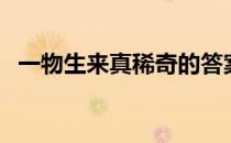 一物生来真稀奇的答案（一物生来真稀奇）