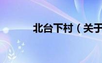 北台下村（关于北台下村简介）
