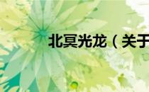 北冥光龙（关于北冥光龙简介）