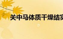 关中马体质干燥结实结构良好秉性温驯
