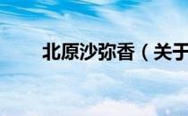 北原沙弥香（关于北原沙弥香简介）