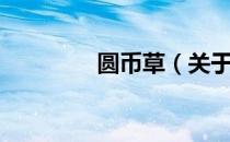 圆币草（关于圆币草简介）