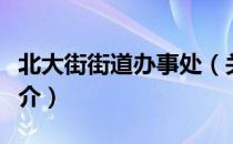 北大街街道办事处（关于北大街街道办事处简介）