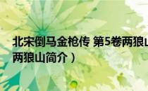 北宋倒马金枪传 第5卷两狼山（关于北宋倒马金枪传 第5卷两狼山简介）