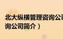 北大纵横管理咨询公司（关于北大纵横管理咨询公司简介）