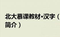 北大慕课教材·汉字（关于北大慕课教材·汉字简介）