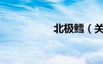 北极鳕（关于北极鳕）