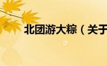 北团游大粽（关于北团游大粽简介）