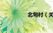 北甸村（关于北甸村）