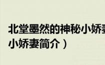 北堂墨然的神秘小娇妻（关于北堂墨然的神秘小娇妻简介）