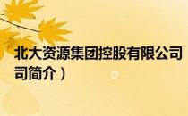 北大资源集团控股有限公司（关于北大资源集团控股有限公司简介）
