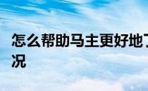 怎么帮助马主更好地了解和提高马匹的健康状况