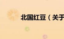北国红豆（关于北国红豆简介）