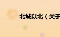 北城以北（关于北城以北简介）