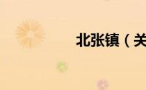 北张镇（关于北张镇）