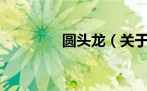 圆头龙（关于圆头龙简介）