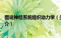 图说神经系统组织动力学（关于图说神经系统组织动力学简介）