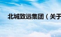 北城致远集团（关于北城致远集团简介）