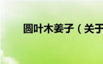 圆叶木姜子（关于圆叶木姜子简介）