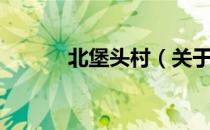 北堡头村（关于北堡头村简介）