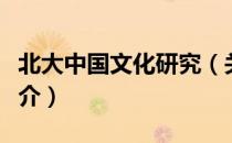 北大中国文化研究（关于北大中国文化研究简介）
