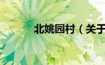 北姚园村（关于北姚园村简介）