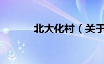 北大化村（关于北大化村简介）