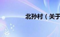 北孙村（关于北孙村简介）