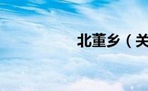 北董乡（关于北董乡）