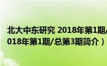 北大中东研究 2018年第1期/总第3期（关于北大中东研究 2018年第1期/总第3期简介）
