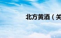 北方黄酒（关于北方黄酒）