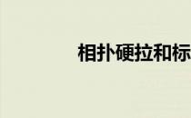 相扑硬拉和标准硬拉的区别