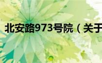 北安路973号院（关于北安路973号院简介）