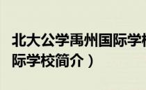 北大公学禹州国际学校（关于北大公学禹州国际学校简介）