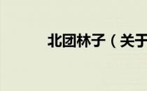 北团林子（关于北团林子简介）