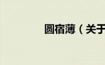 圆宿薄（关于圆宿薄简介）