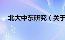 北大中东研究（关于北大中东研究简介）