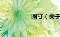 圆寸（关于圆寸简介）