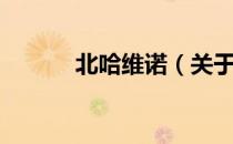 北哈维诺（关于北哈维诺简介）