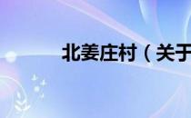 北姜庄村（关于北姜庄村简介）