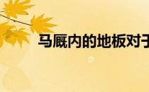 马厩内的地板对于马来说非常重要