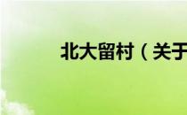 北大留村（关于北大留村简介）