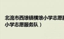 北流市西埌镇横埌小学志愿服务队（关于北流市西埌镇横埌小学志愿服务队）