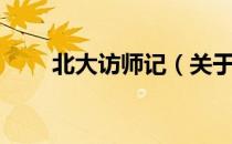 北大访师记（关于北大访师记简介）