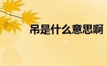 吊是什么意思啊（屌丝什么意思）